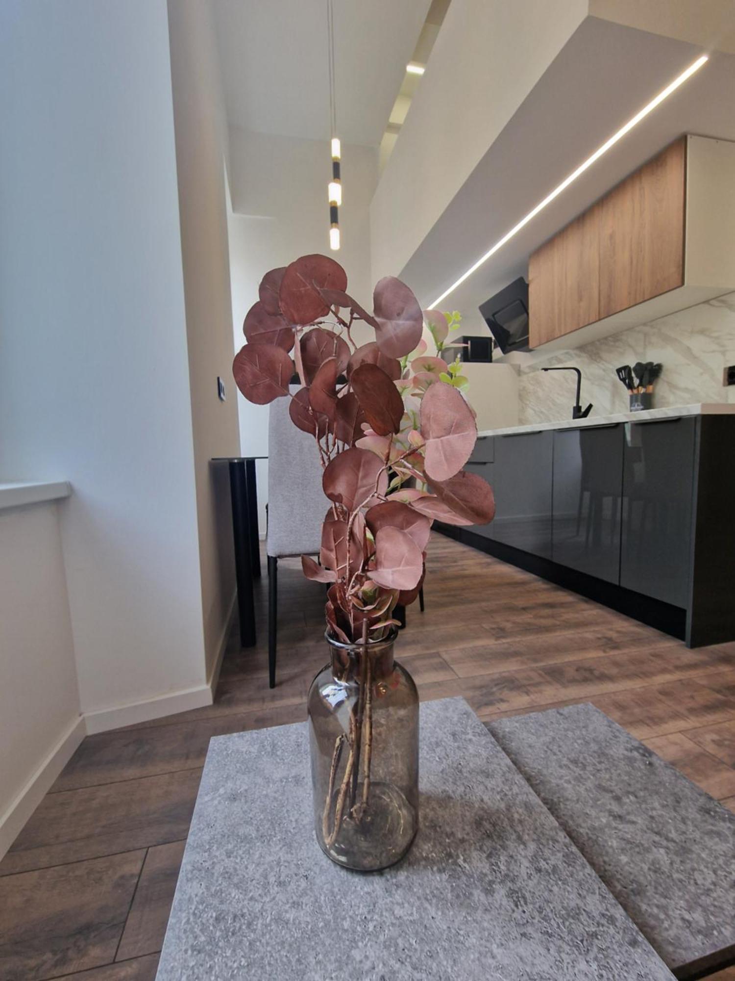 Veneziana Apartments リエカ エクステリア 写真